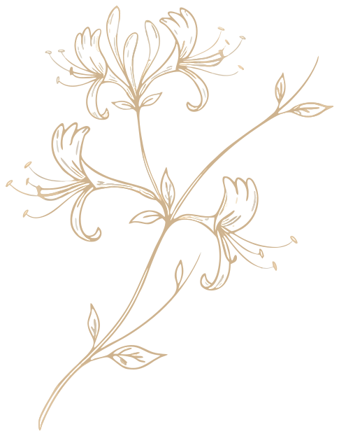 Wildflower Wellness Logo